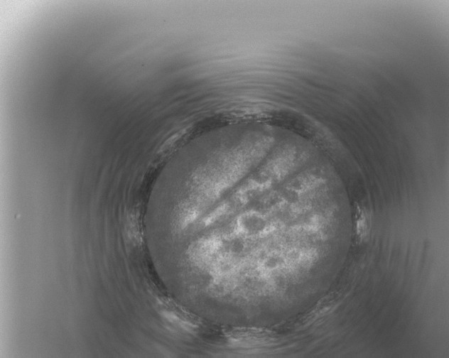 X0000059040819200510211931