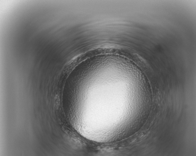 X0000059040821200510211931