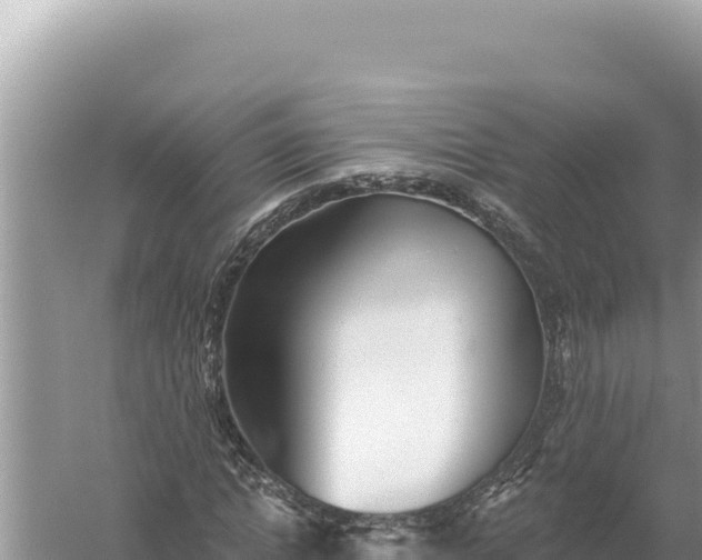 X0000059040822200510211931