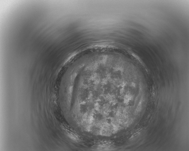 X0000059040823200510211931