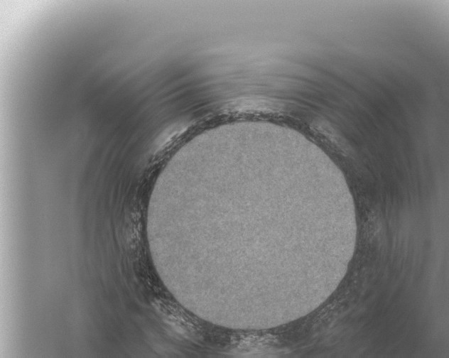 X0000059040824200510211931