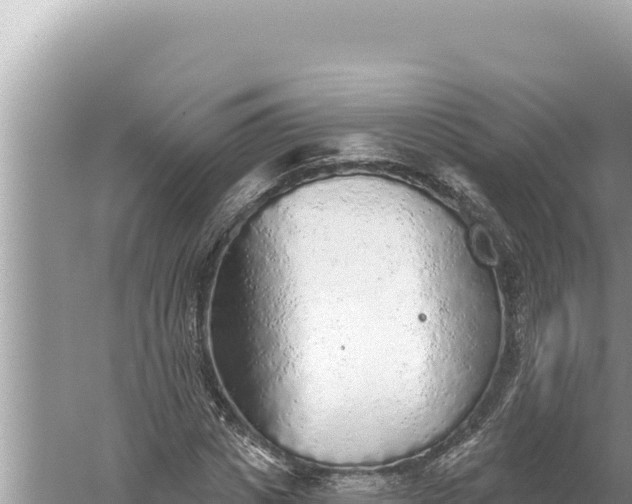 X0000059040825200510211931