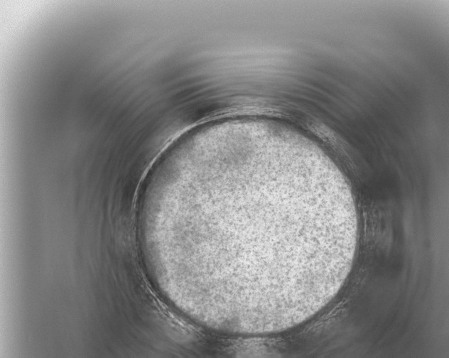 X0000059040828200510211931