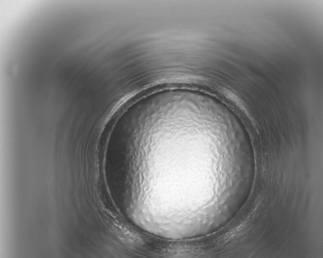 X0000059040829200510211931