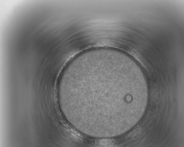 X0000059040832200510211932