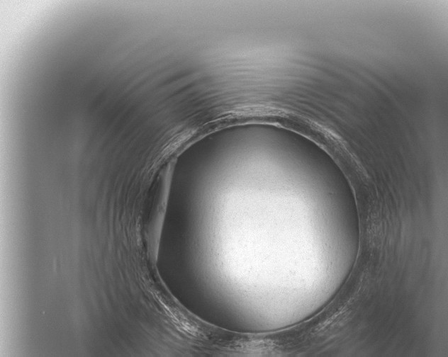 X0000059040833200510211932