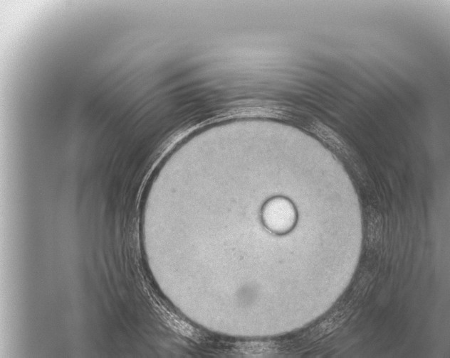 X0000059040836200510211932