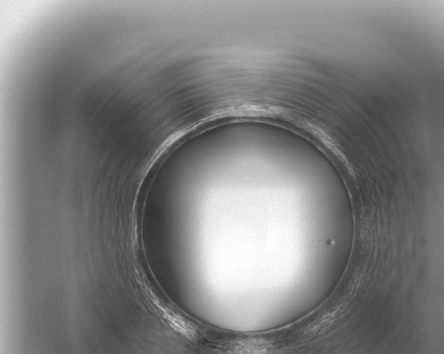 X0000059040837200510211932