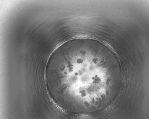 X0000059040839200510211932