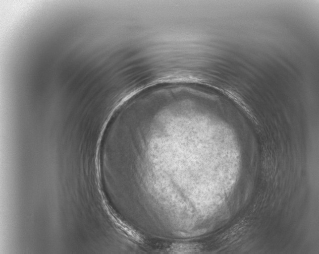 X0000059040840200510211932