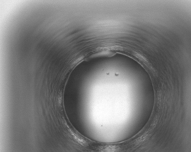 X0000059040841200510211932