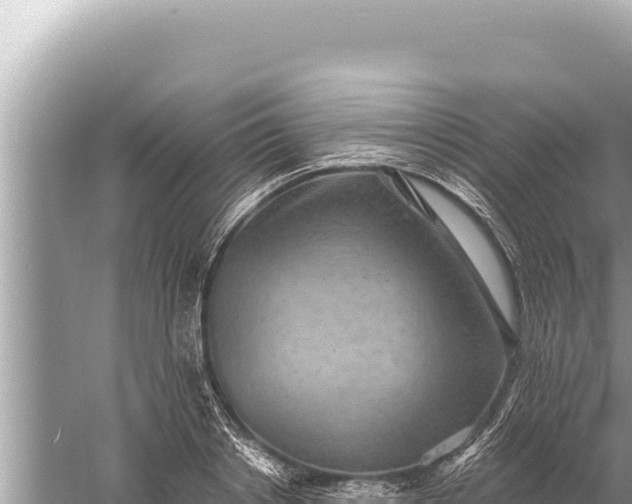 X0000059040842200510211932