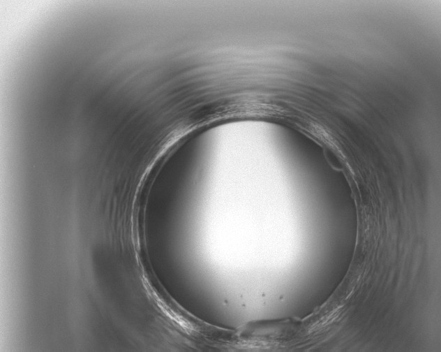 X0000059040843200510211932