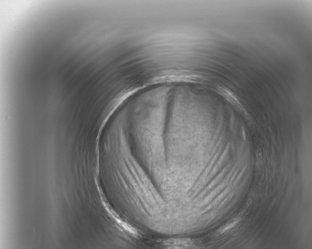 X0000059040844200510211932