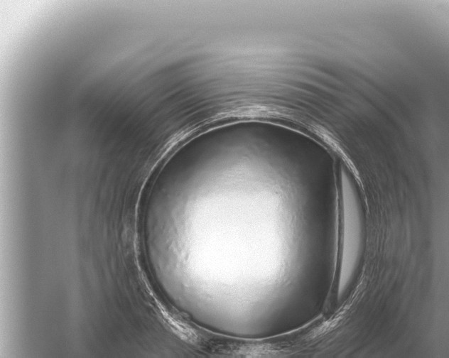 X0000059040845200510211932