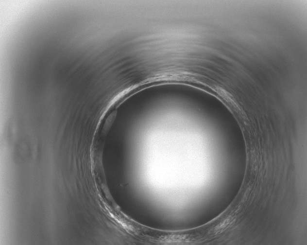 X0000059040846200510211932