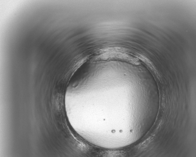 X0000059040849200510211932