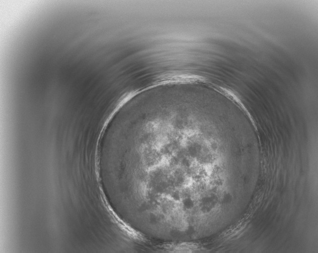 X0000059040851200510211932