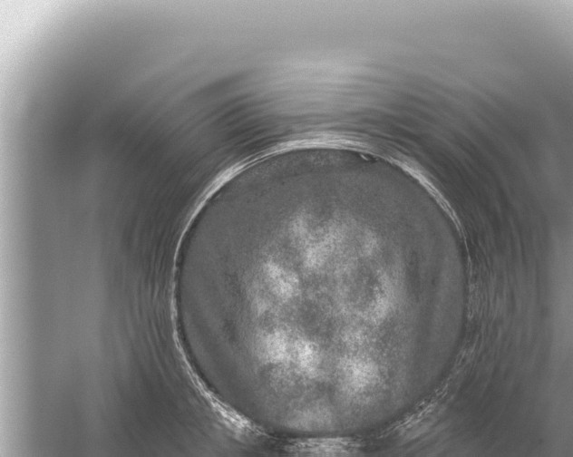 X0000059040853200510211932