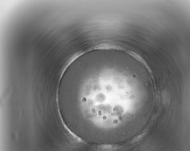 X0000059040855200510211932