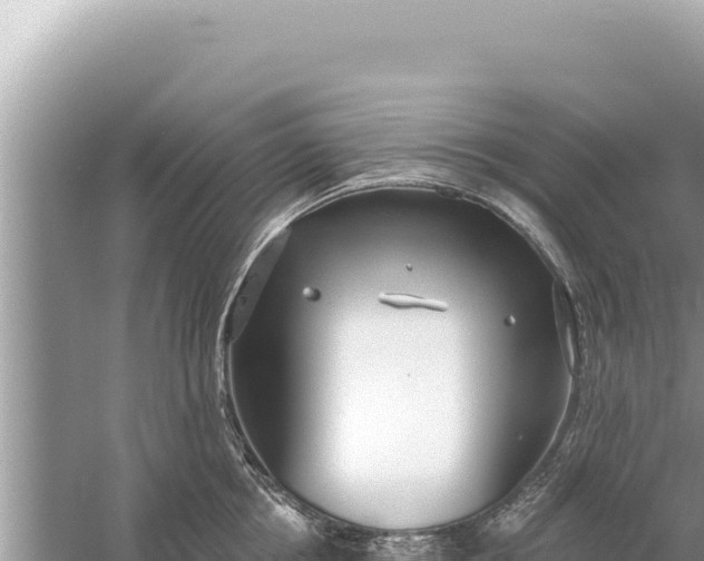 X0000059040858200510211932