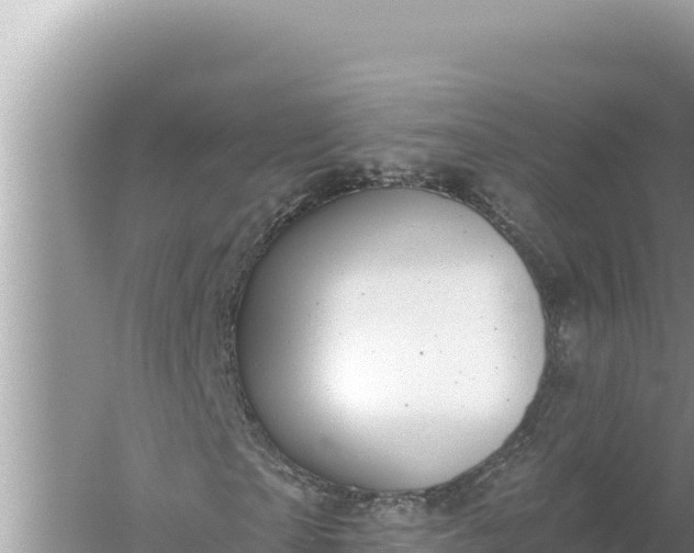 X0000059040865200510211931