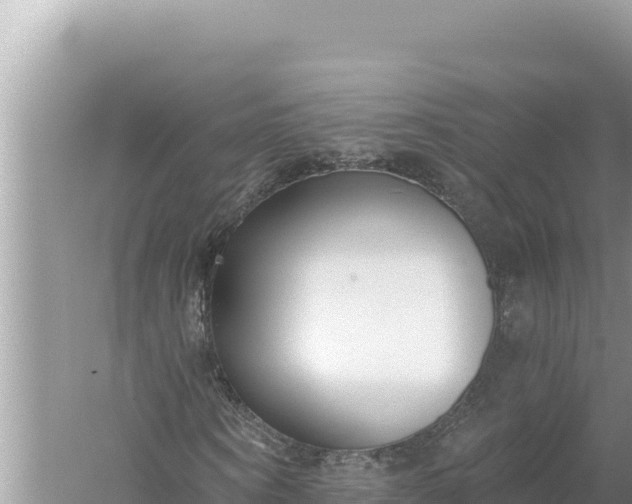 X0000059040866200510211931