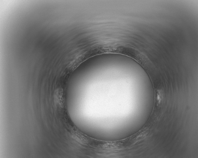 X0000059040867200510211931