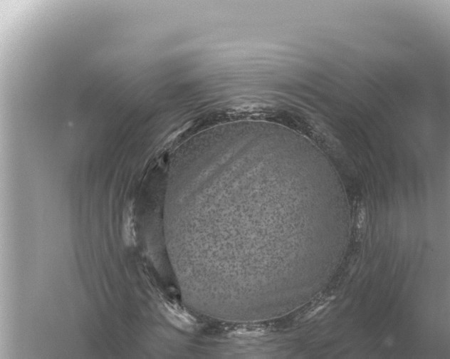 X0000059040868200510211931