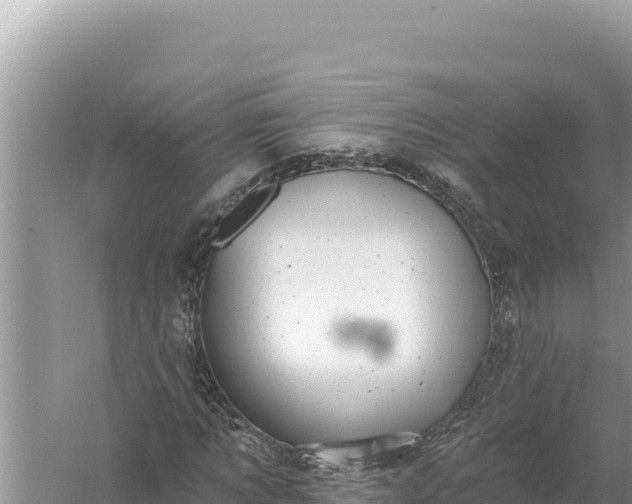 X0000059040869200510211931