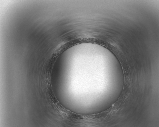 X0000059040870200510211931