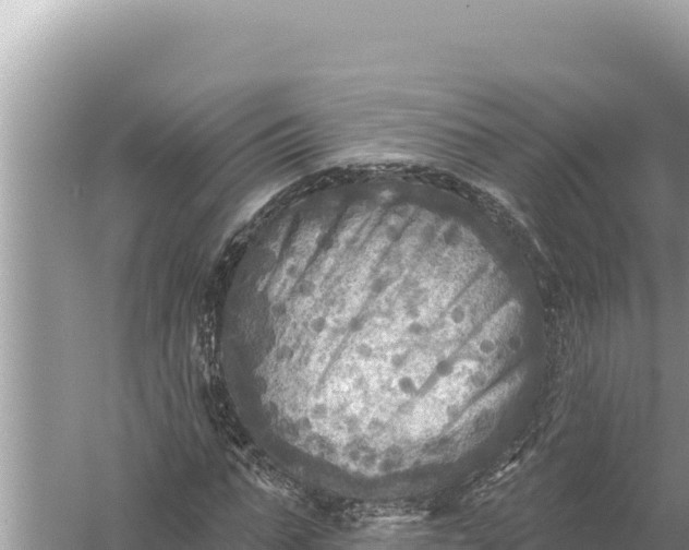 X0000059040871200510211931