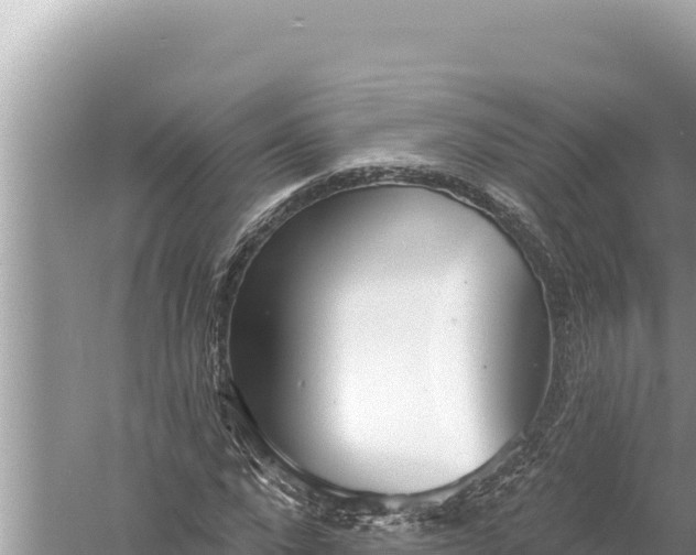 X0000059040872200510211931