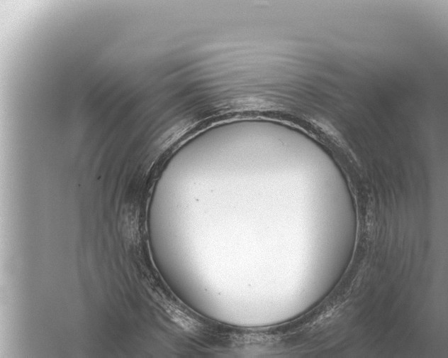 X0000059040873200510211931