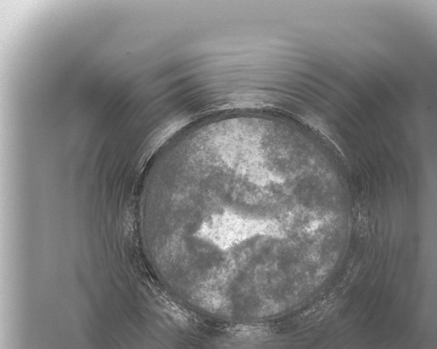 X0000059040874200510211931