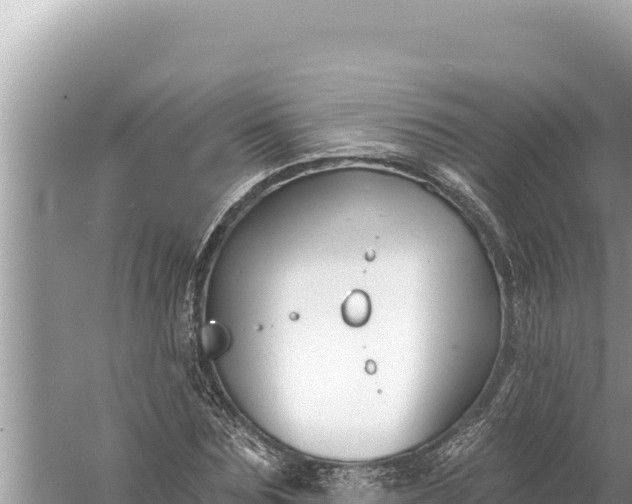 X0000059040875200510211931