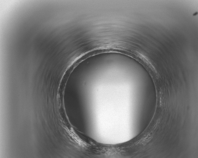 X0000059040876200510211931