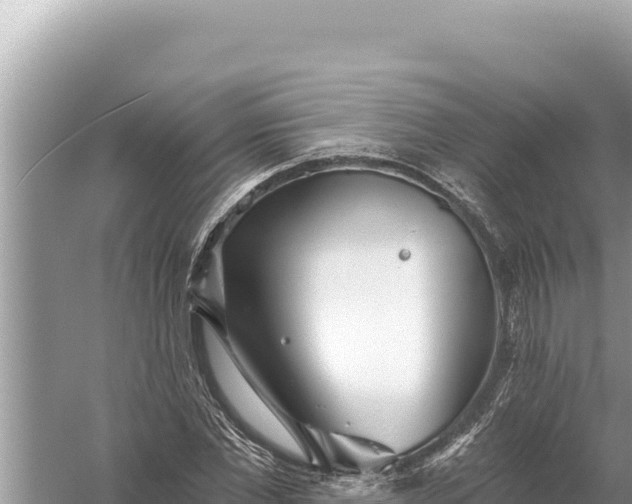 X0000059040877200510211931