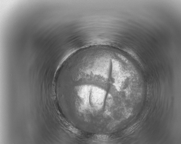 X0000059040878200510211931