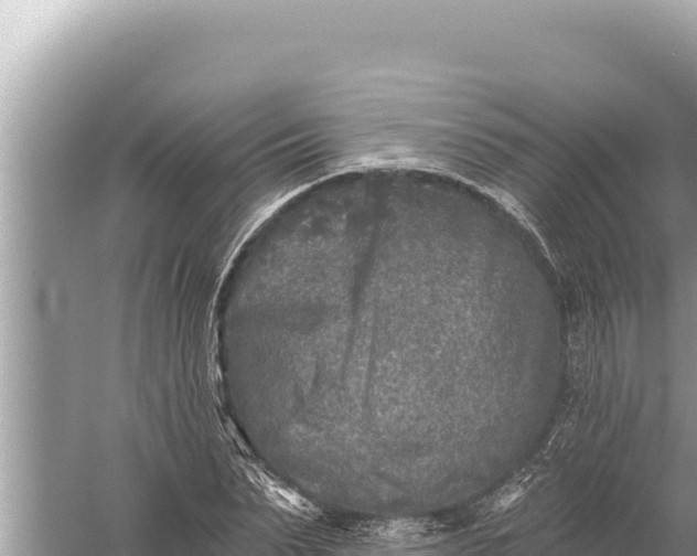 X0000059040879200510211931