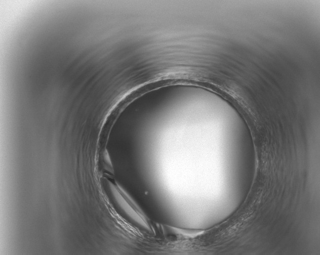 X0000059040880200510211931