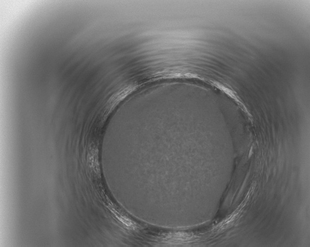 X0000059040881200510211931