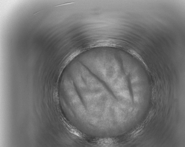 X0000059040882200510211931