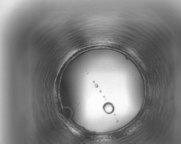 X0000059040883200510211931