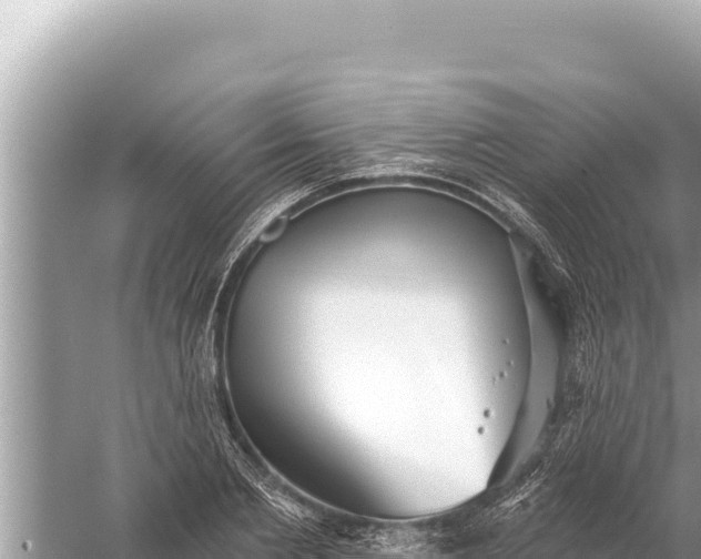 X0000059040885200510211931