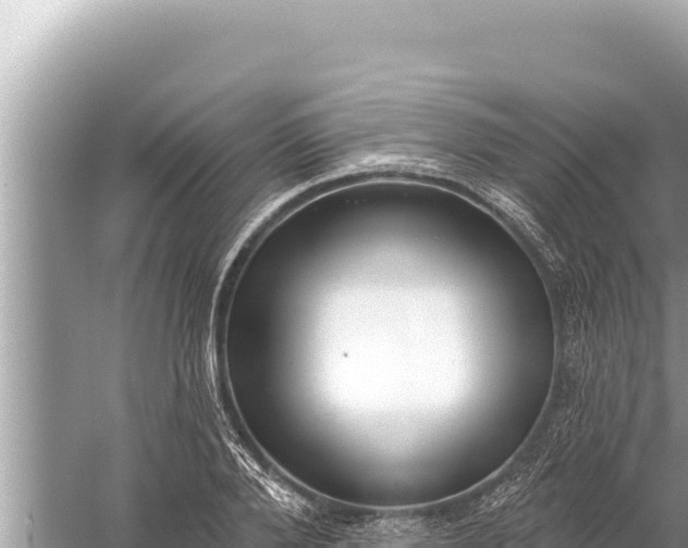 X0000059040888200510211931