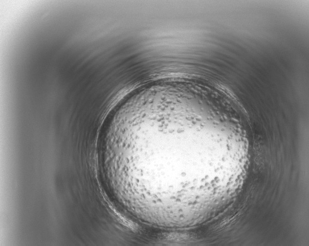 X0000059040890200510211931