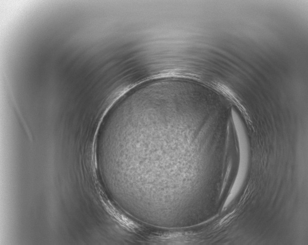 X0000059040892200510211931