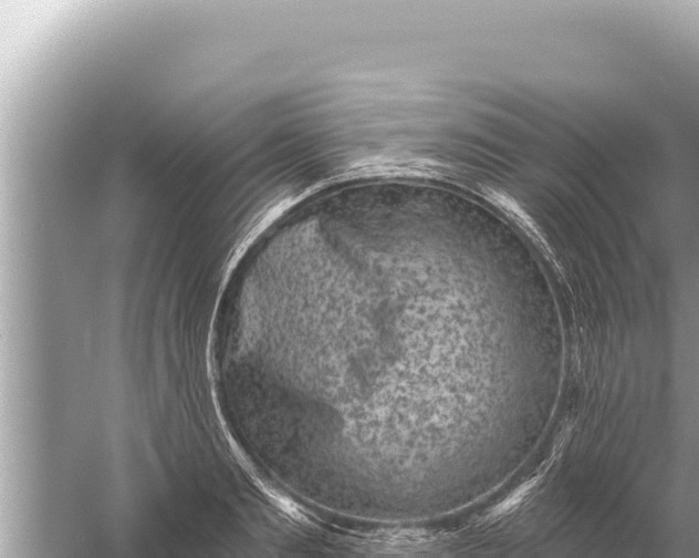 X0000059040893200510211931