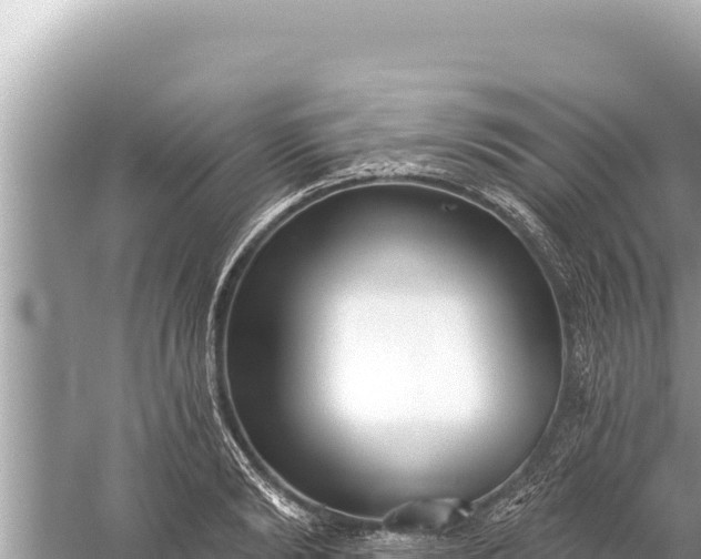 X0000059040894200510211931